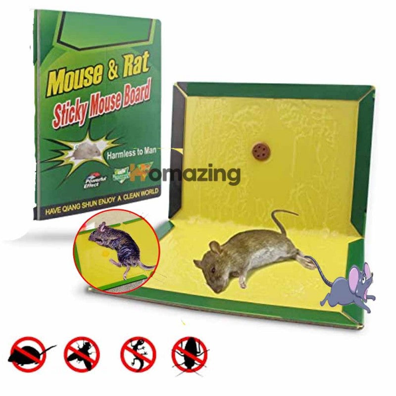 Pack Of 3 Mouse Glue Traps Expert Catch